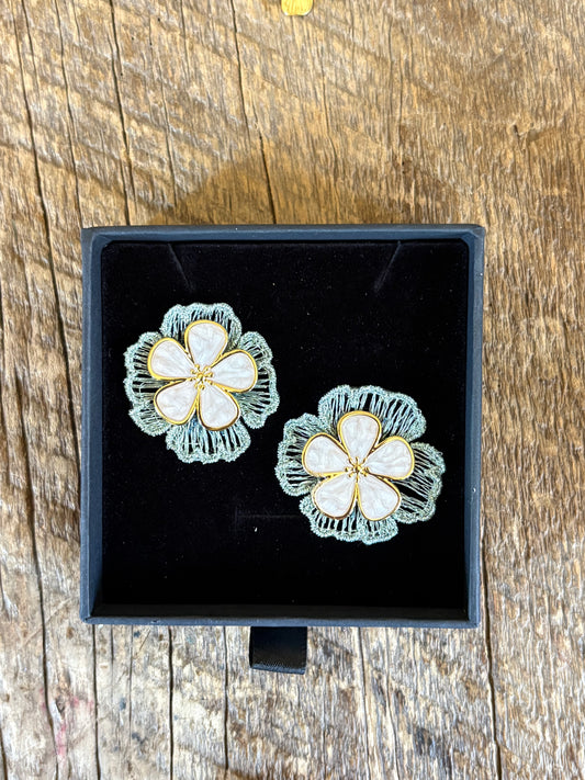 Aros 077
